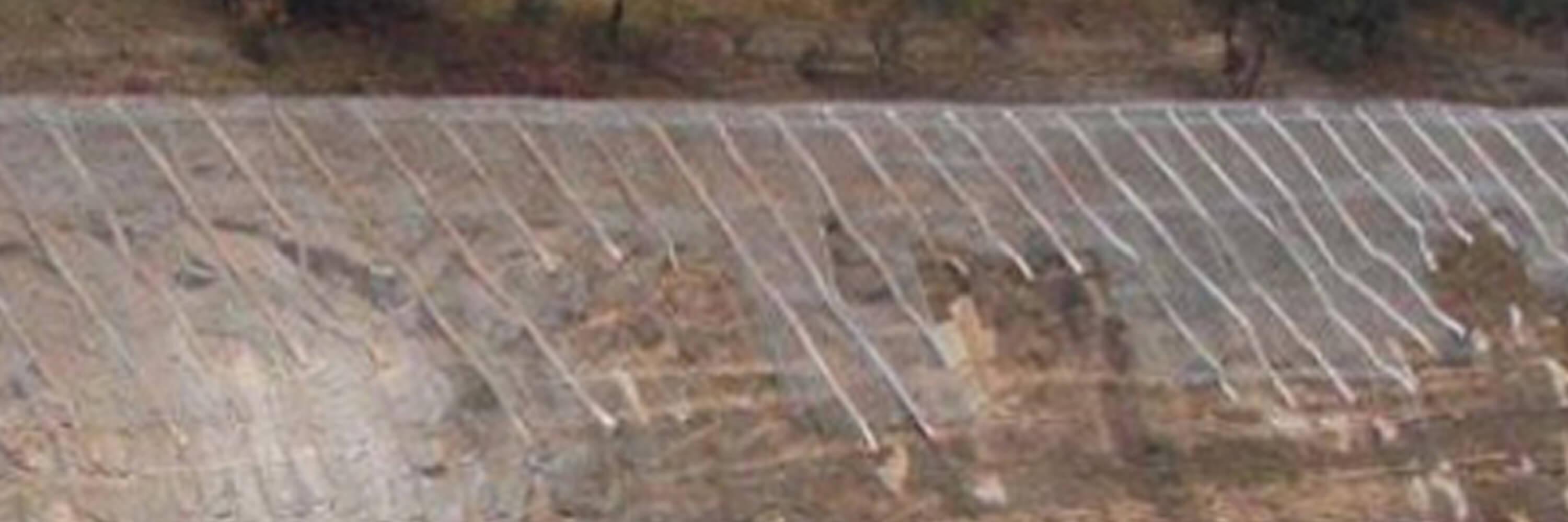 ProDrain® Welby Highway Cutting 1