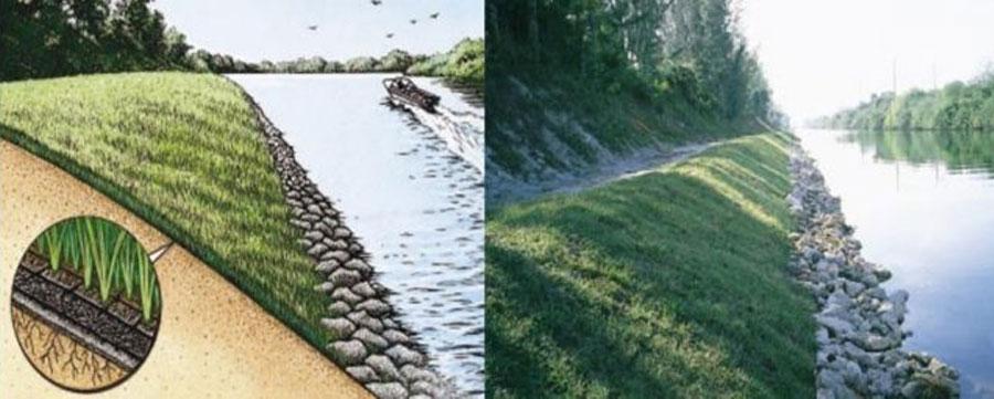 Visualisation and Actual Benefits of TRM