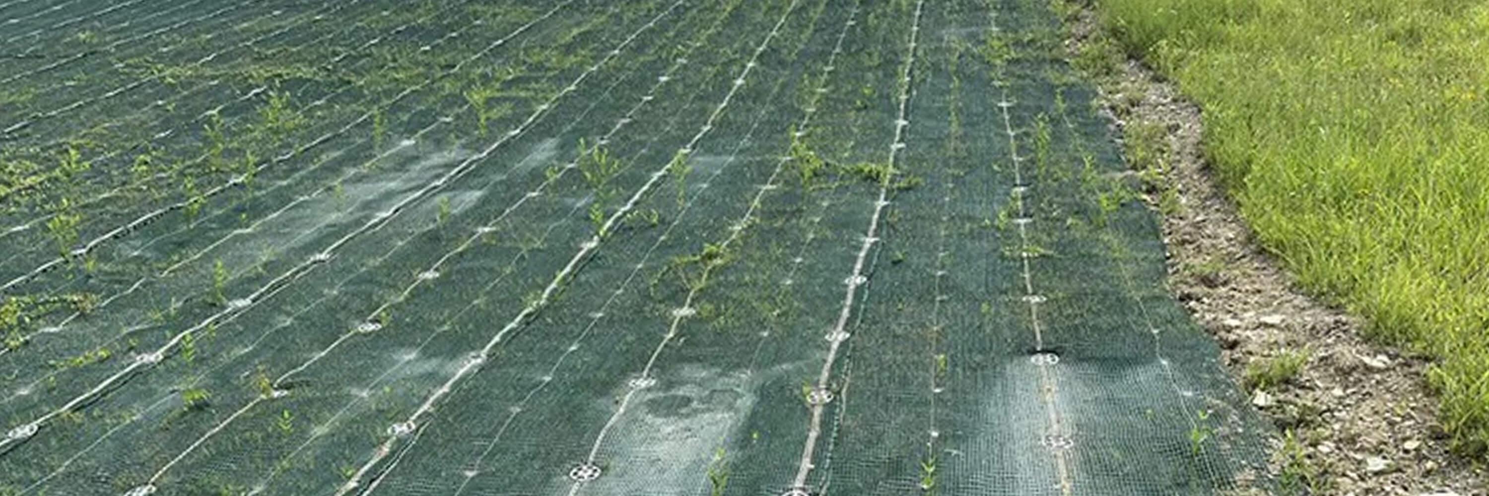 70-MILE Earthen Levee Greater New Orleans Hero