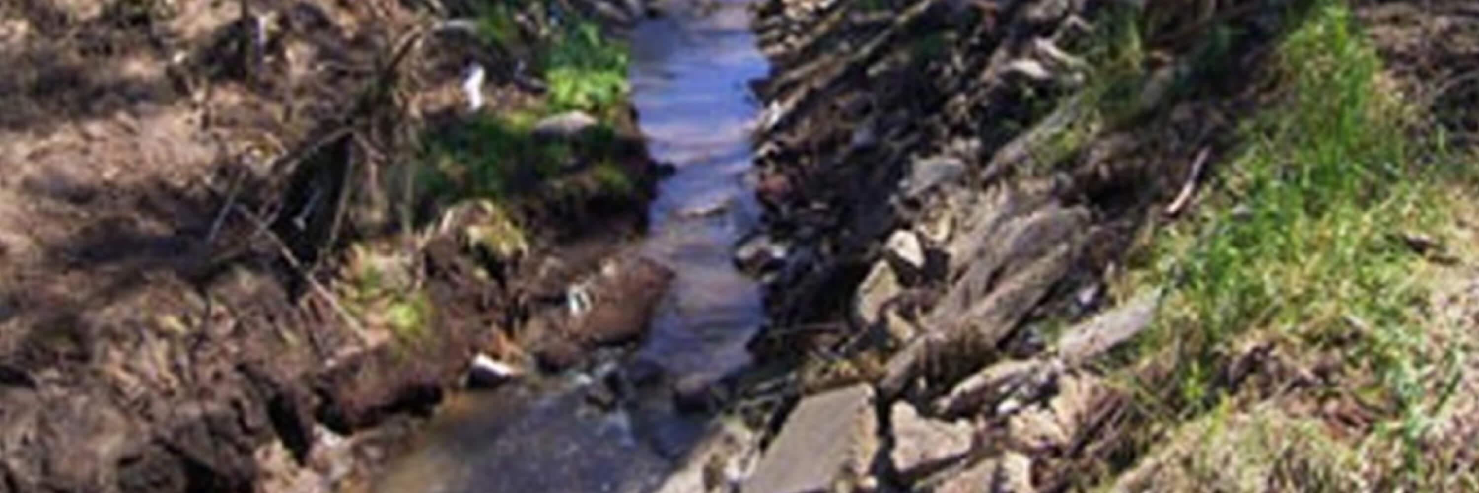 Landlok® Upgrade Mungabareena Hero