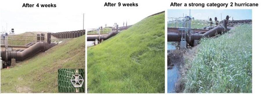 Before and After Pyramat in weeks