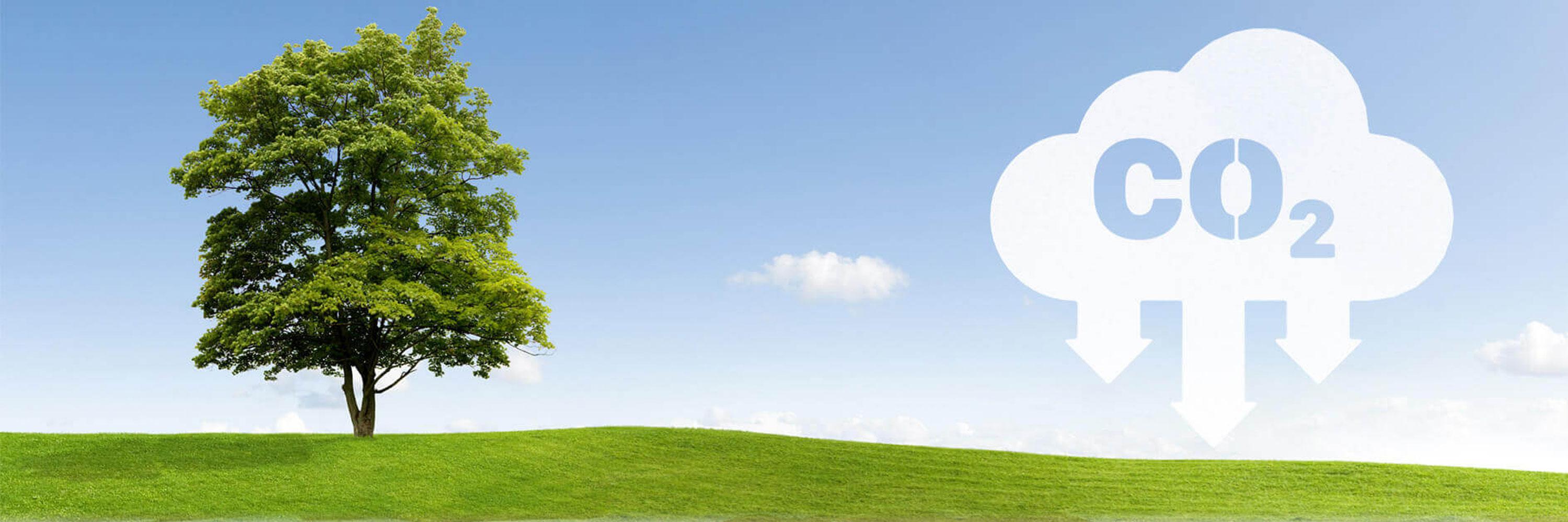 Reducing Carbon Footprints: banner