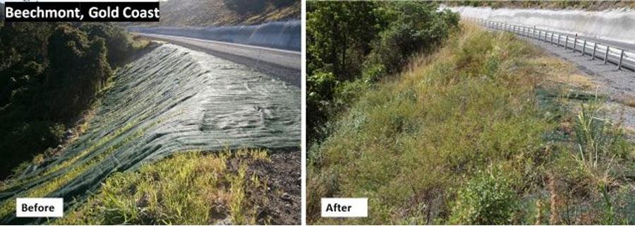beechmont before after