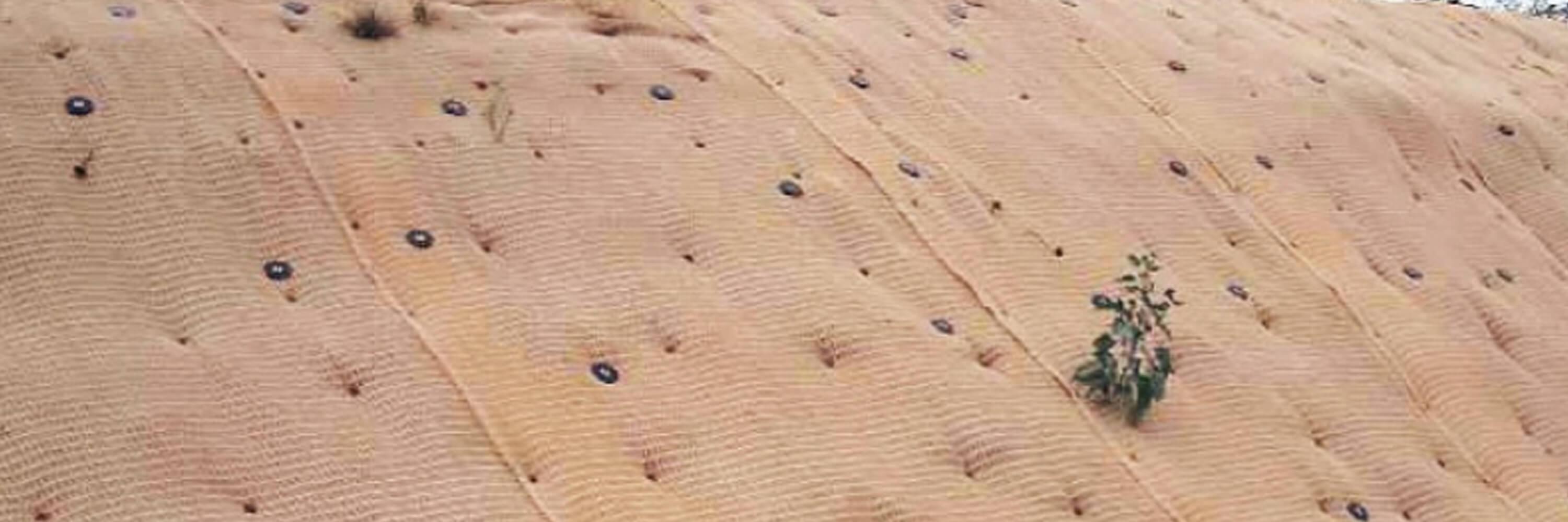 Armormax® Border Road