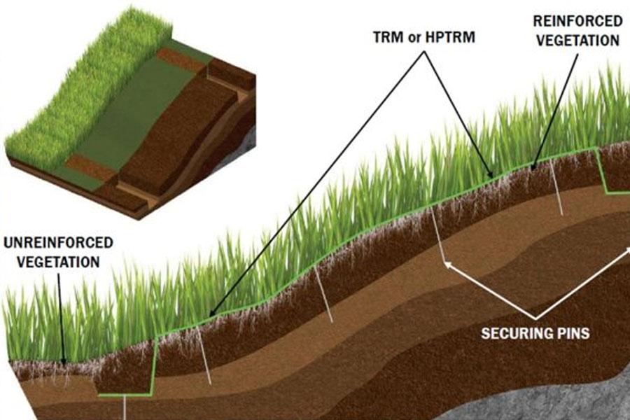 Illustration of Reinforced Vegetation