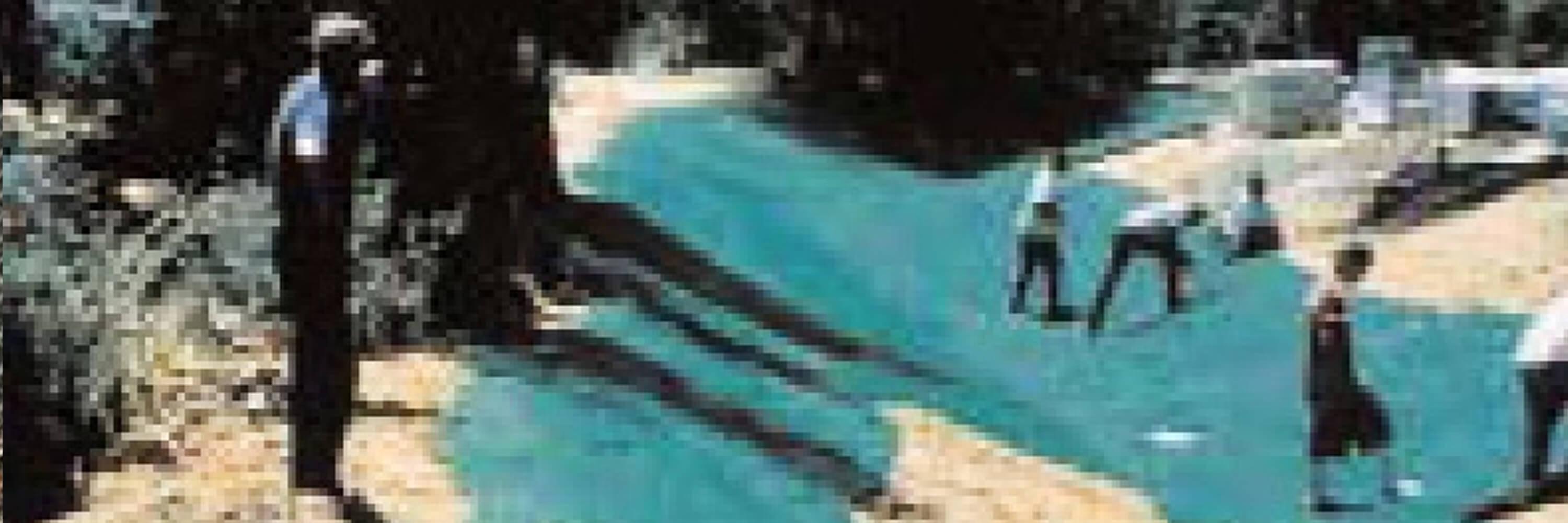 Landlok 450® Channel Vegetation 1