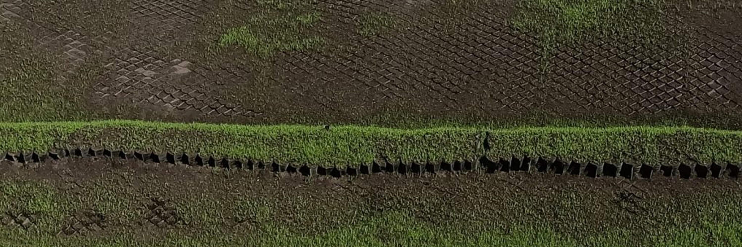 John Moroney Correctional Centre Miracell® Geocell Hero