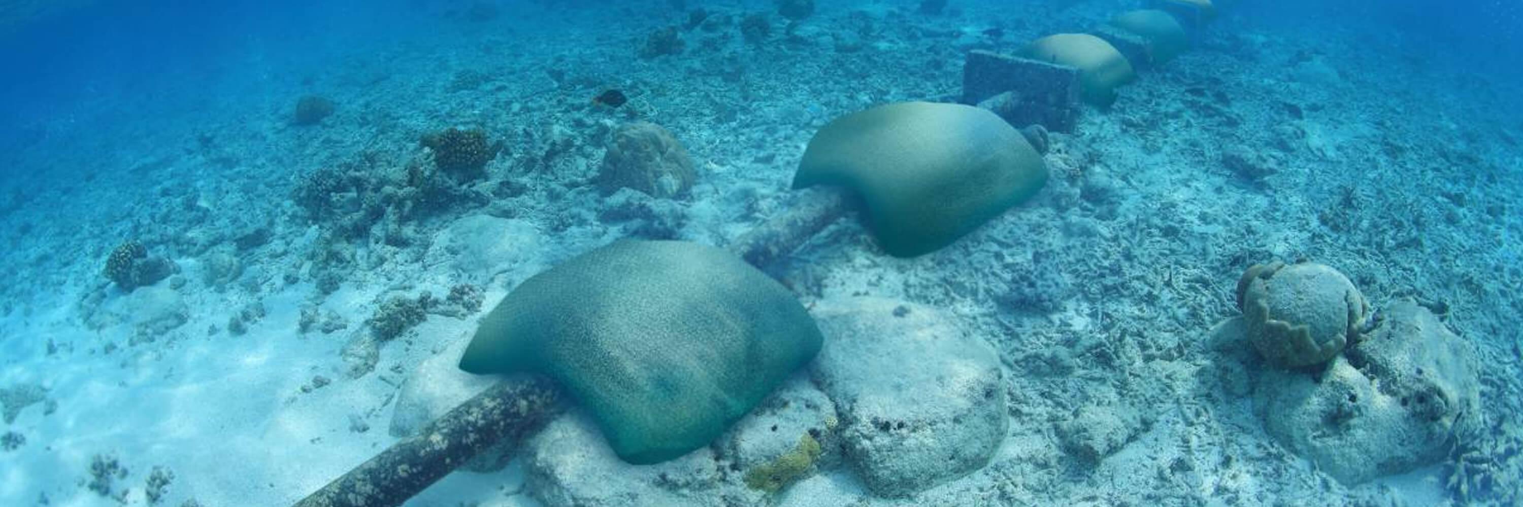 Protecting underwater pipelines with Sand Containers Hero