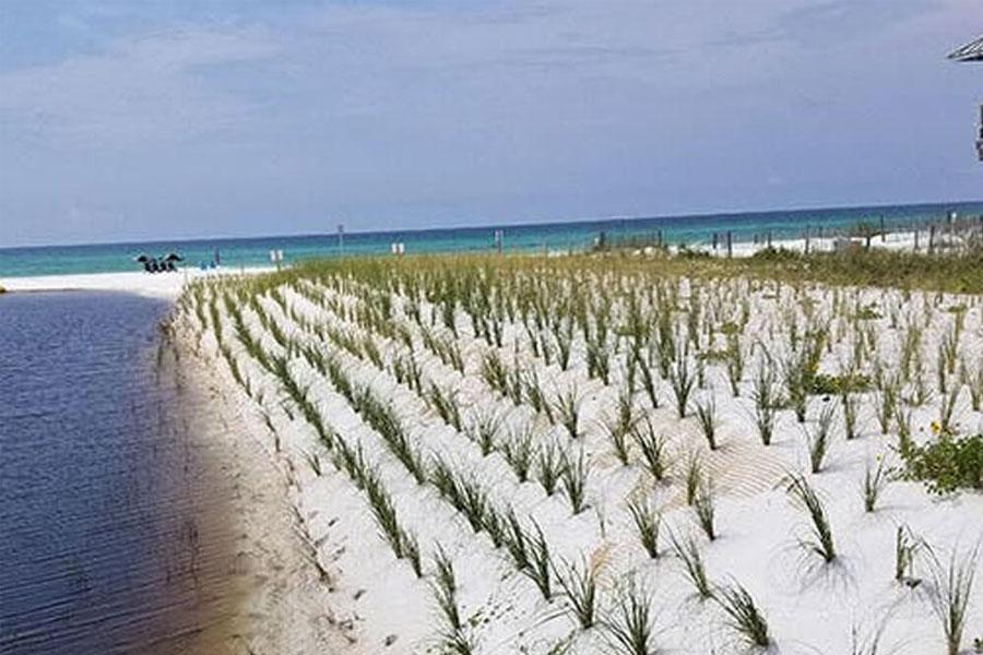 ARMORMAX - Oyster Lake Florida USA